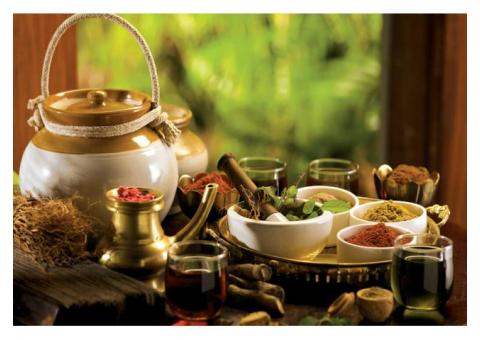 AYURGE AYURVEDA INSTITUTE