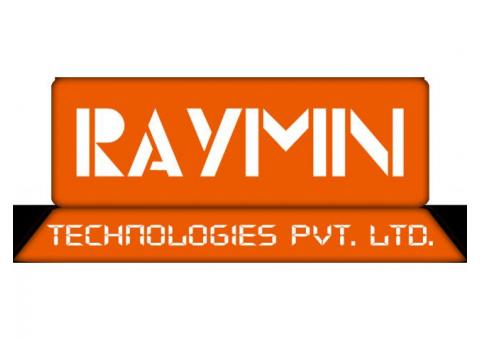 Best SEO Company in India, RayMn Tech