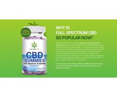 Skills That You Can Learn From Next Plant CBD Gummies.