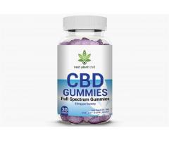 How To Use And Buy Next Plant CBD Gummies?