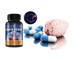 What Are The Benefits & Side-Effects of Using Mushroom Brain Boost?