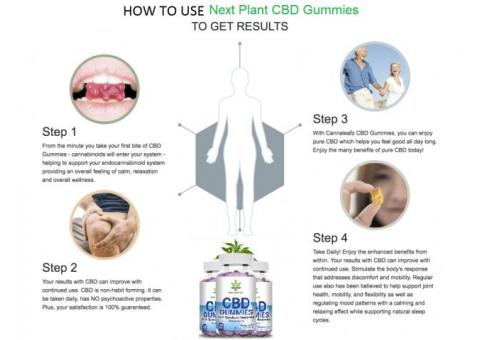 Next Plant CBD Gummies Reviews: Works Instantly You Will Get Instant!  Chavassery | Myinfer.com - Yellow page, Best business directory in Kerala,  India| Local Search Engine