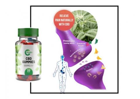 What Are Green Otter CBD Gummies Really Work? Convent Junction |  Myinfer.com - Yellow page, Best business directory in Kerala, India| Local  Search Engine