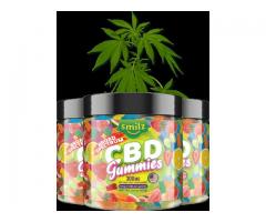 What are the Main Ingredients of Smilz CBD Gummies?