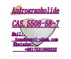 Andrographolide Treat a cold  CAS. 5508-58-7 (Mail:joan@senyi-chem.com) +8617531900322)