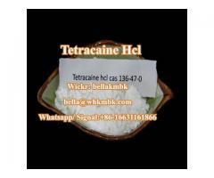 Sell Tetracaine HCl CAS 136-47-0 with high quality Wickr:bellakmbk