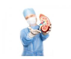 sell your kidney today for 10crore,hurry whatsapp +919108923347