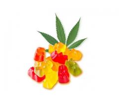 Condor CBD Gummies  Reviews  Scam or Effective Ingredients That Work? (Anxiety & Stress Relief)