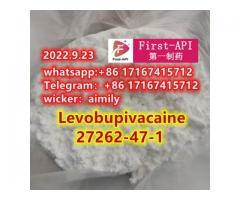 Levobupivacaine	 27262-47-1