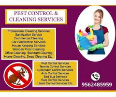 Top 4 Ants Control Services in Kayamkulam Paravur Kottiyam Oachira Mukhathala