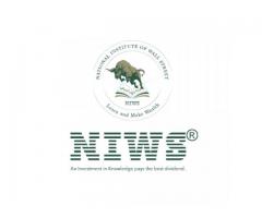 NIWS Stock Market Institute