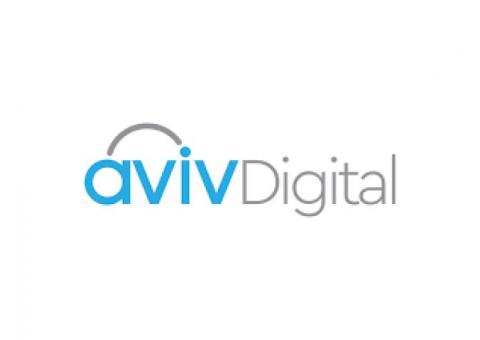 Avivdigital - Digital Marketing Institute