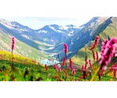 Valley of Flowers Trek Tour