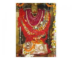 Vindhyachal Mata Darshan