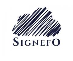 Signefo Digital Marketing Company