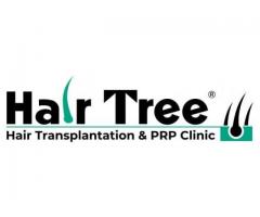 Hair Tree Clinic