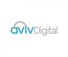 Aviv Digital - The Best Digital Marketing Training Institute in Calicut