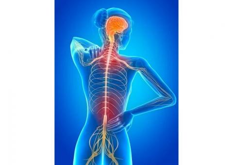 AYURVEDIC TREATMENT FOR MULTIPLE SCLEROSIS
