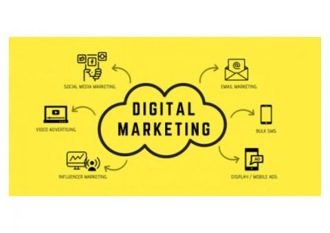 Hiring Digital Marketing Interns