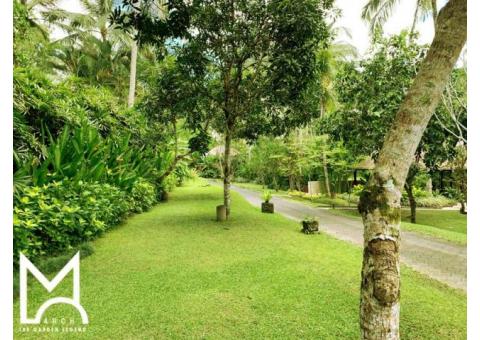 landscaping kochi | landscaping ernamkulam | landscaping kerala