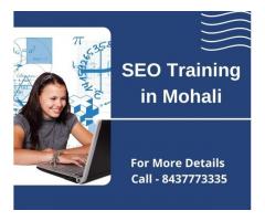 SEO Training in Mohali