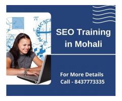 SEO Training in Mohali
