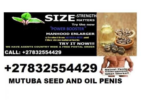 Mutuba seed and penis enlargement in Pretoria +27832554429