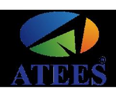 ATEES Infomedia PVT. Ltd.