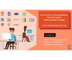 Searching for the best web design and development company in India?